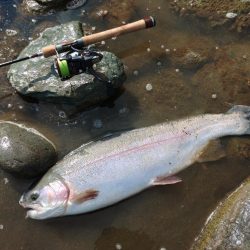 朝は爆風、午後は穏やか ～天竜川ルアーフライ専用区～